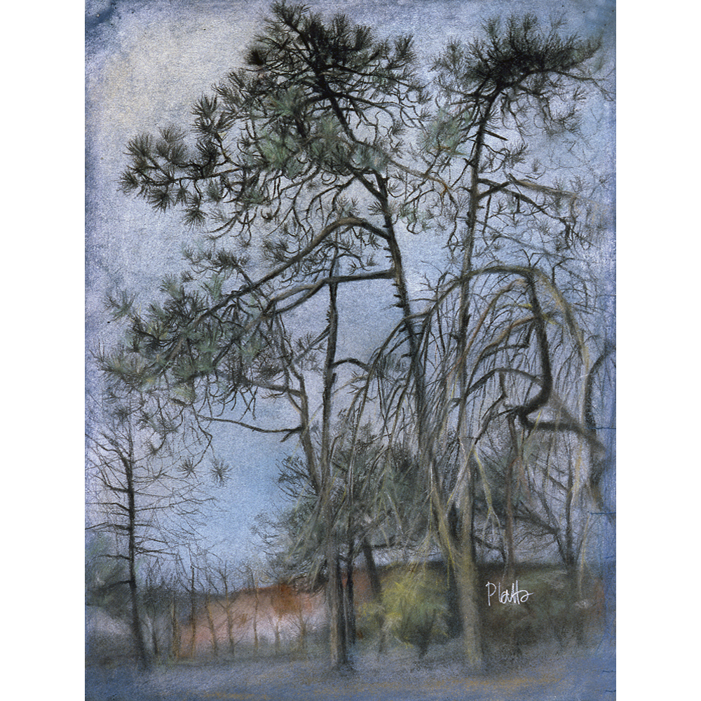 Three Trees No.3 1957
